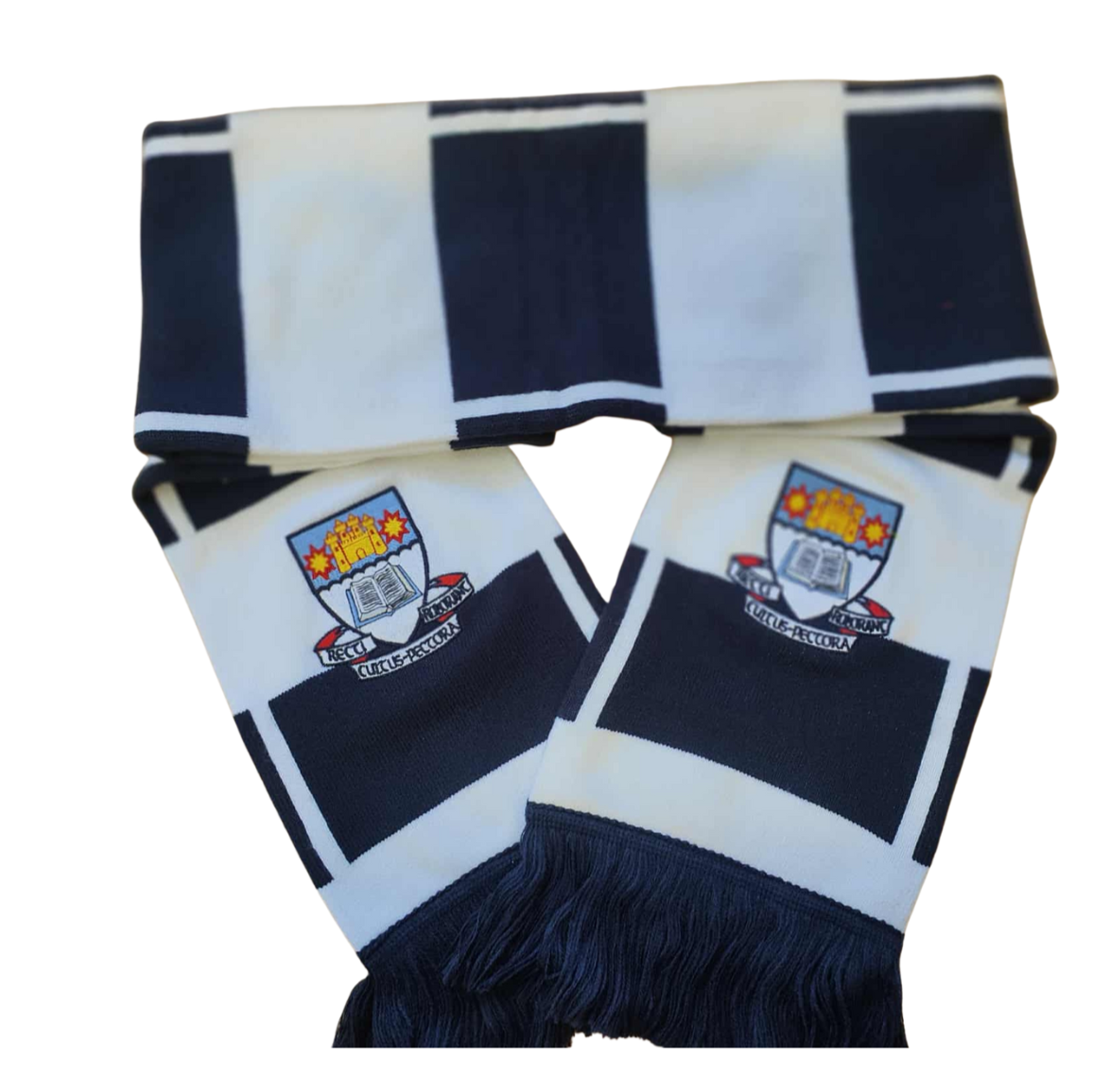 OBHS Gilbert  Hoops Scarf ON SALE NOW
